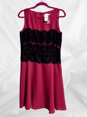 LOFT Magenta Dress with Black Lace Waist